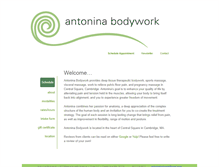 Tablet Screenshot of antoninabodywork.com